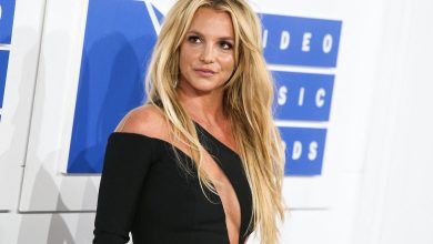 Britney Spears, Julien MacDonald elbisesi, H Stern mücevherleri ve Christian Louboutin ayakkabılarıyla 2016 MTV Video Müzik Ödülleri'ne geldi